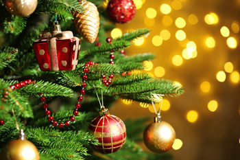 Christmas tree close up shot