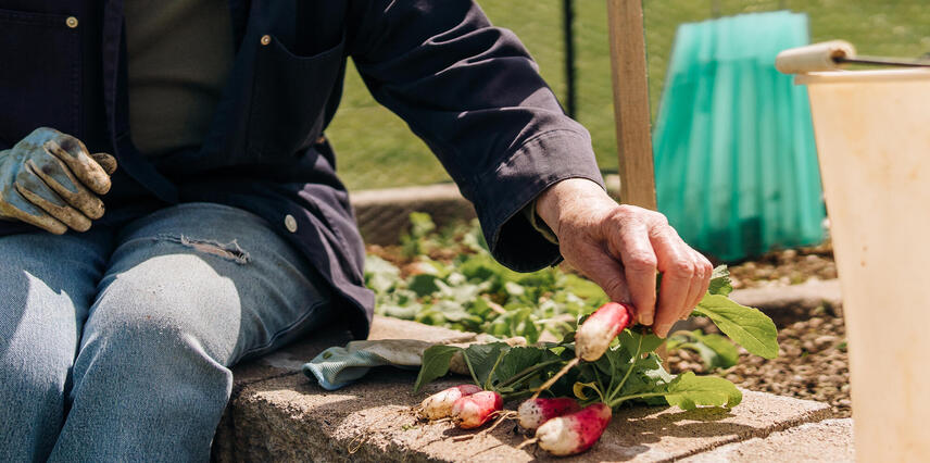 Residents Find Solace in The Summit Gardening