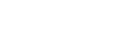 The Chesapeake Logo