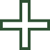 skilled nursing icon