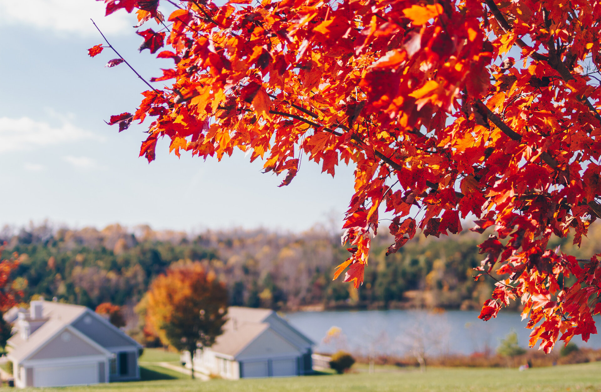 autumn-view-of-lake-and-residence Close up view of an autumn tree with The Summit neighborhood and lake in the background