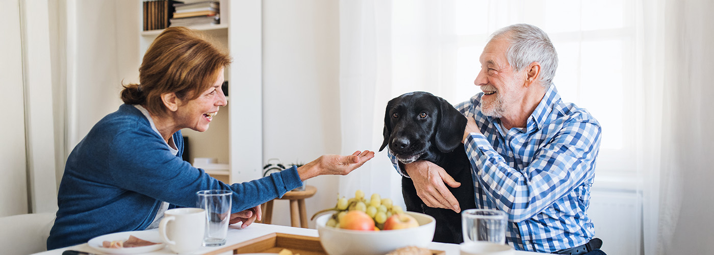 Senior couple pets dog at breakfast table