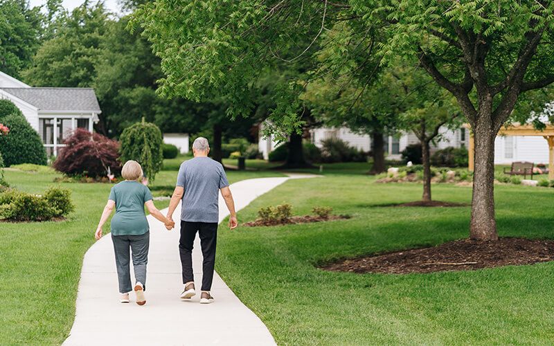 Elderly couple holding hands walking on a path in a vibrant green community garden.