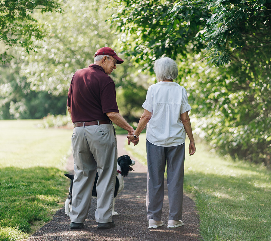 Elderly couple holding hands on a leafy path with a dog nearby.