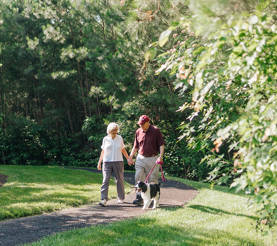 Elderly couple walking a dog on a path surrounded by trees and greenery.
