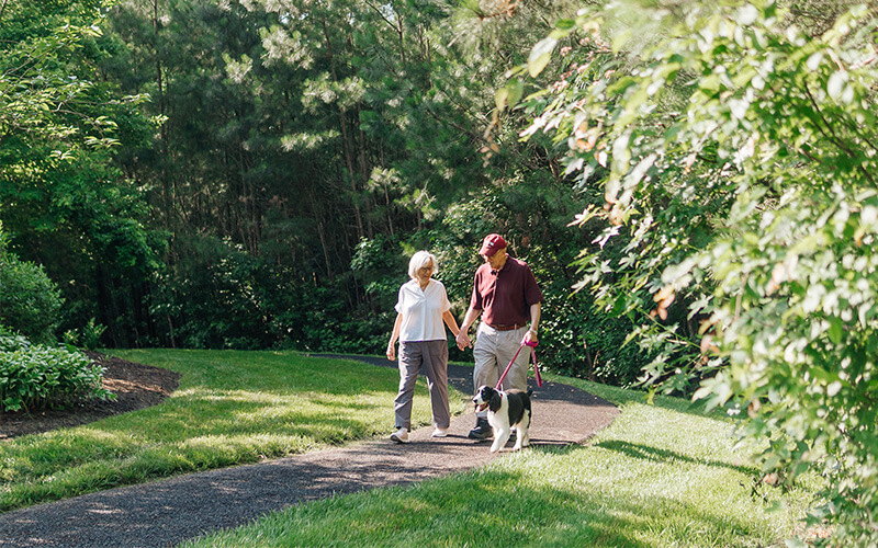 Peaceful Stroll in the Community Garden Elderly couple walking with a dog on a lush garden path in a green outdoor setting.