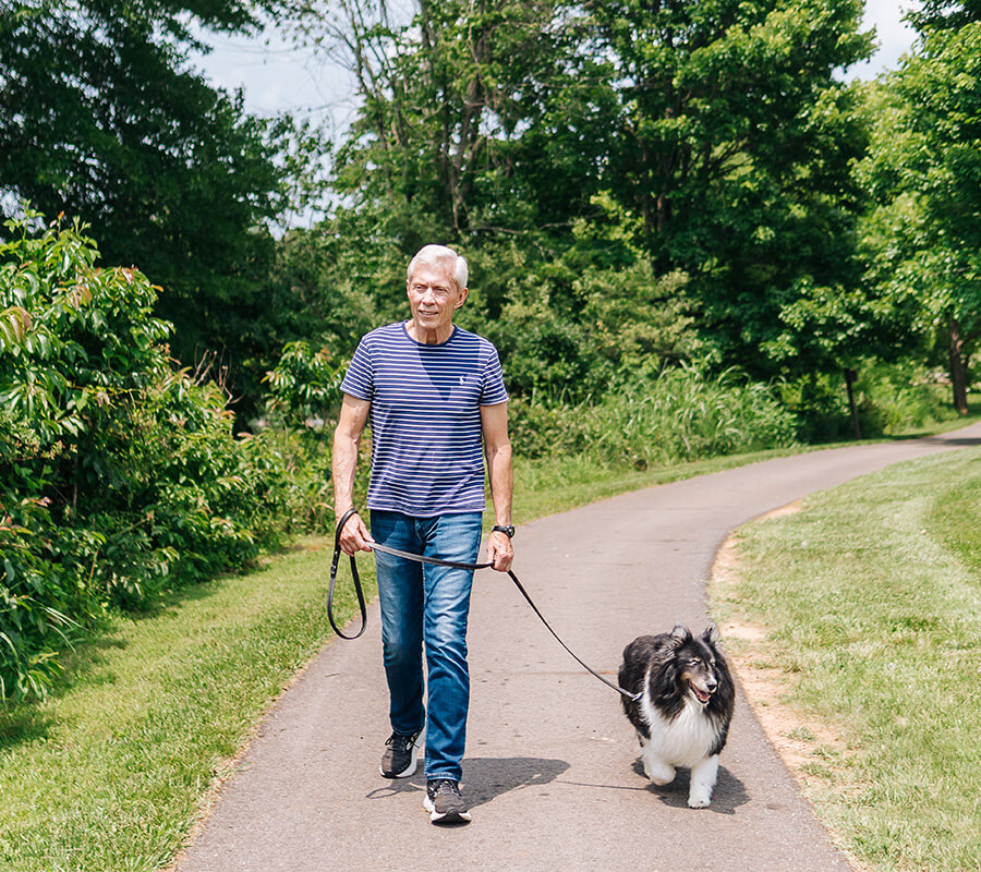 Elderly man in striped shirt walking a fluffy dog along a tree-lined path on a sunny day.