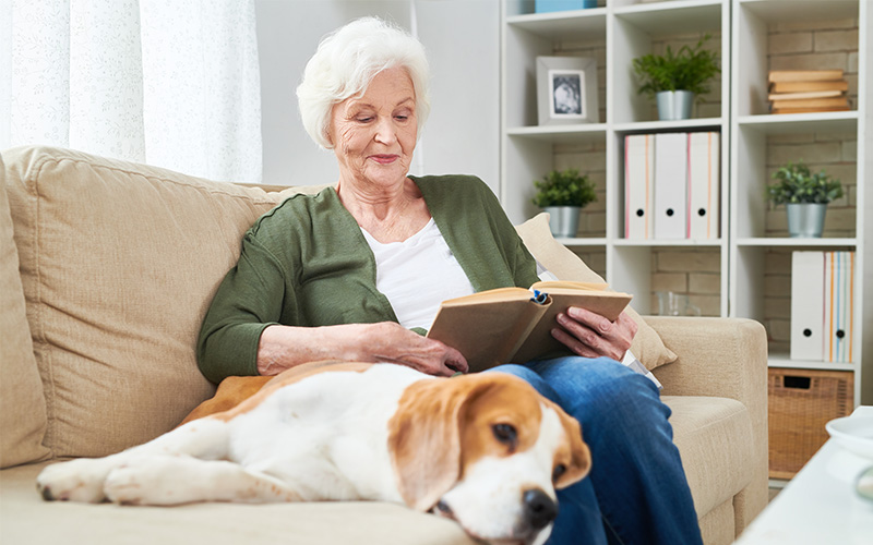 Elderly woman reading a book on a sofa with a beagle resting beside her.