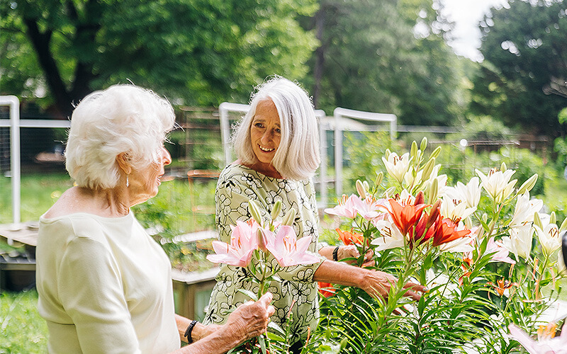 Two older women enjoying gardening among blooming lilies in a lush outdoor space.