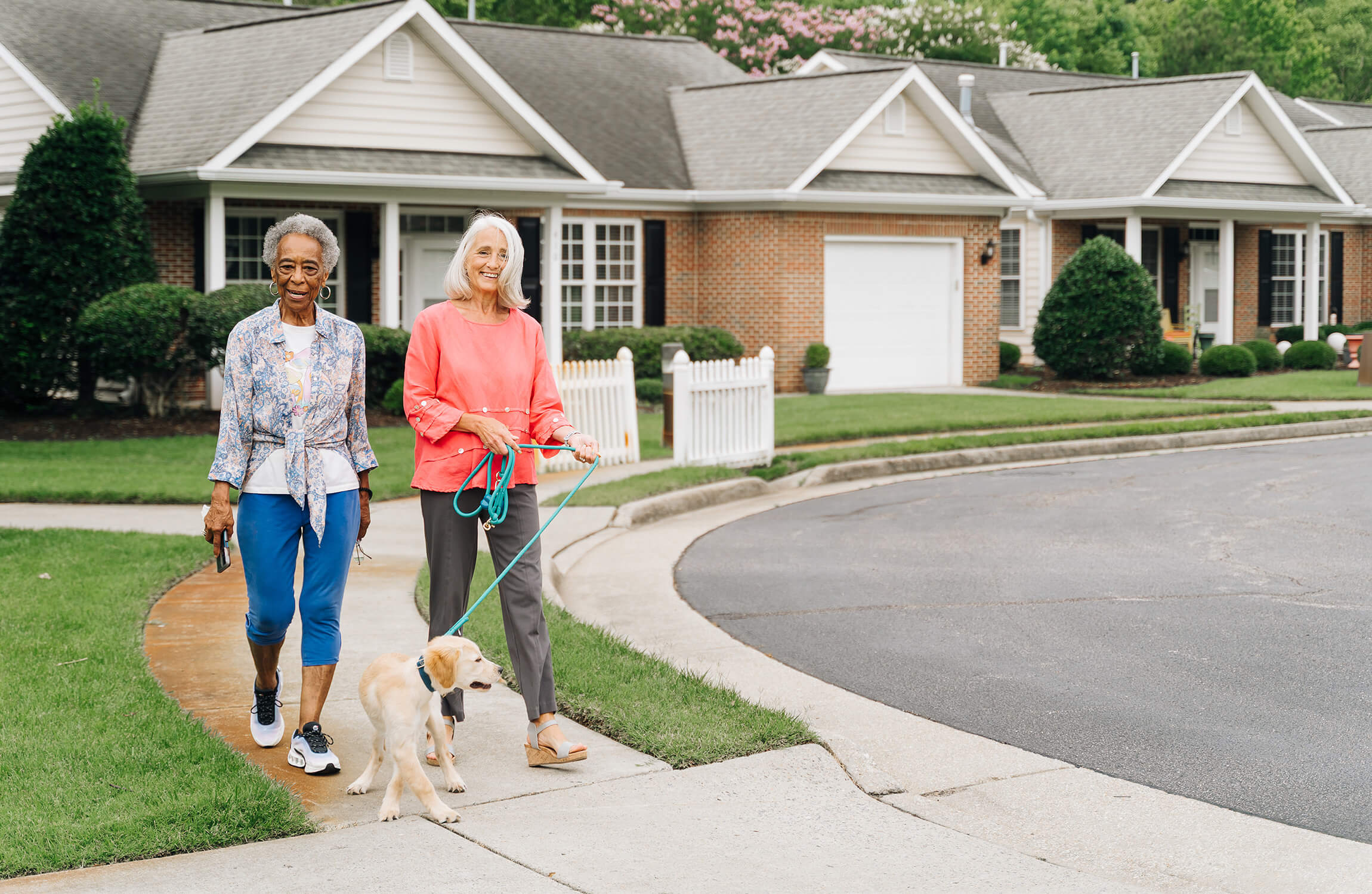 Two women walking a dog on a sidewalk in a residential community.