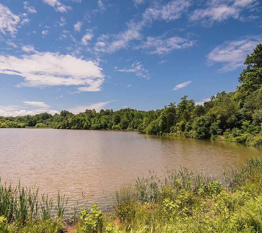 Scenic lake with lush green trees under a blue sky with scattered clouds.