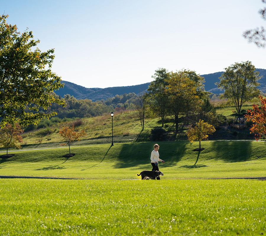 Person walking a dog in a grassy park with trees and mountains in the background.