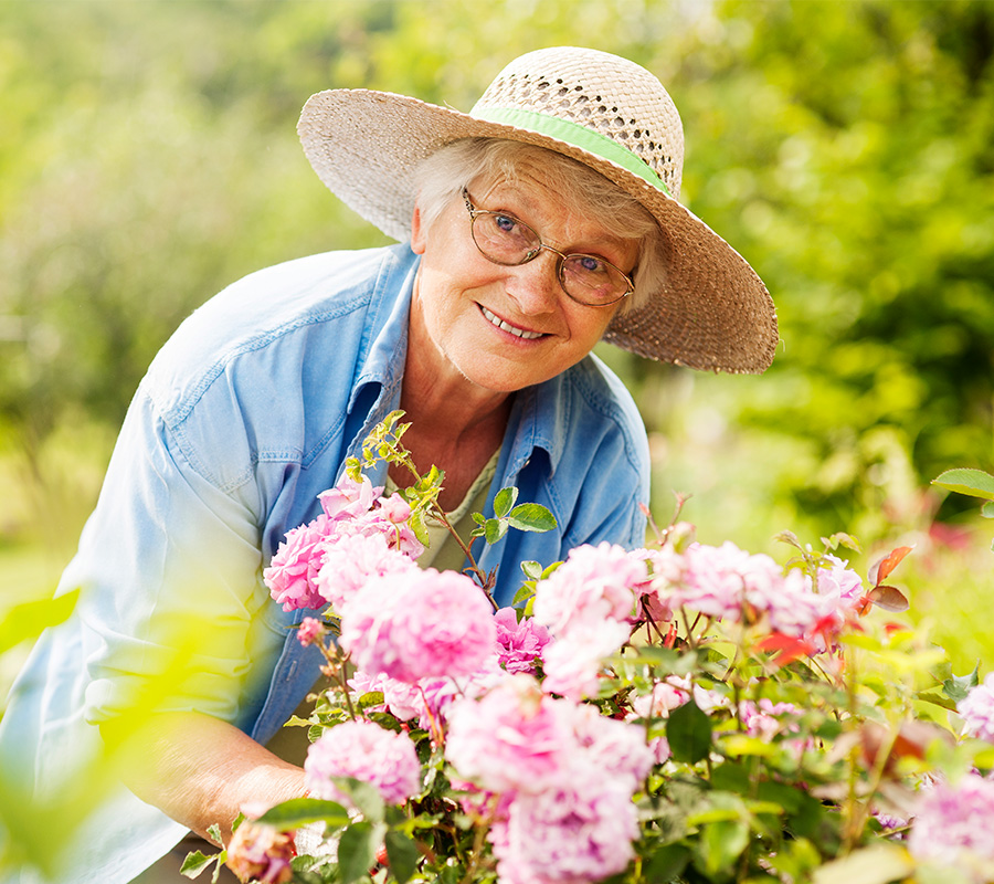 Senior woman in straw hat tending pink flowers in garden, smiling.