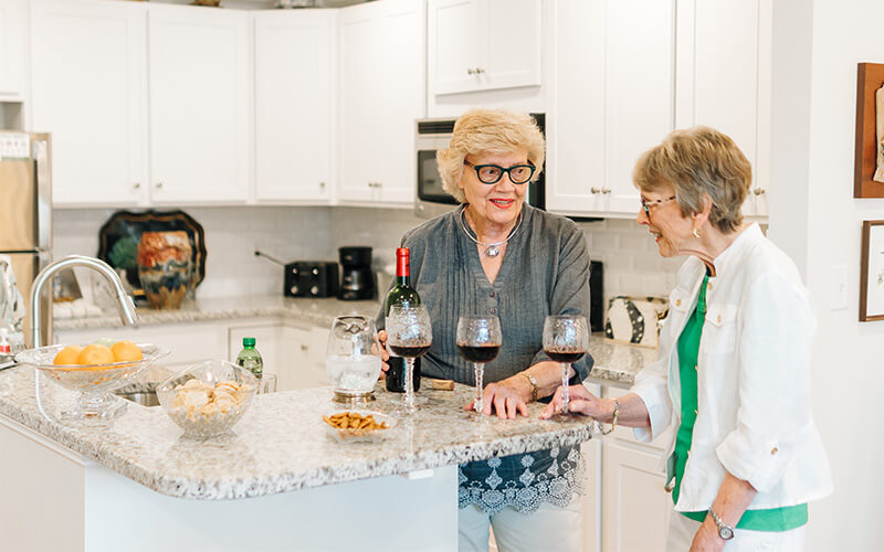 Three seniors enjoying a friendly conversation in a modern living room with pets.