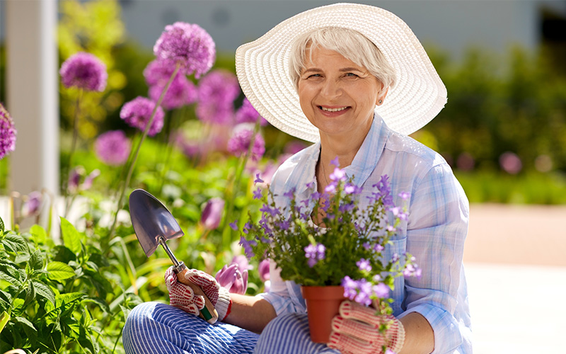 Woman gardens in her yard and adds purple flowers