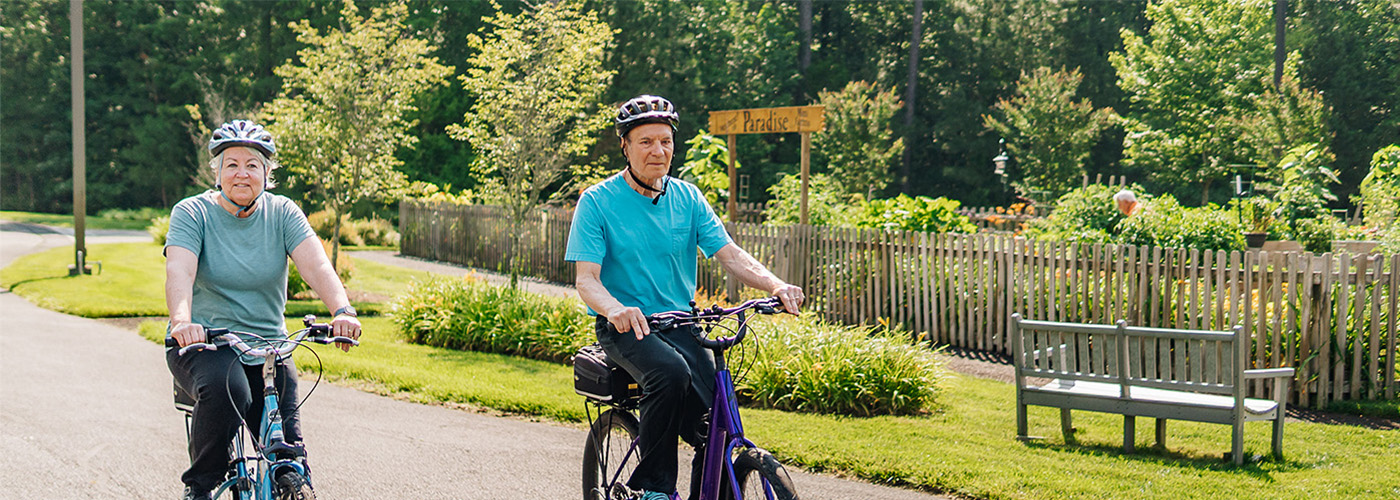 Two seniors cycling on a sunny path, enjoying the greenery and bright environment.