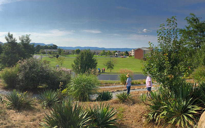 The Glebe view of landscape