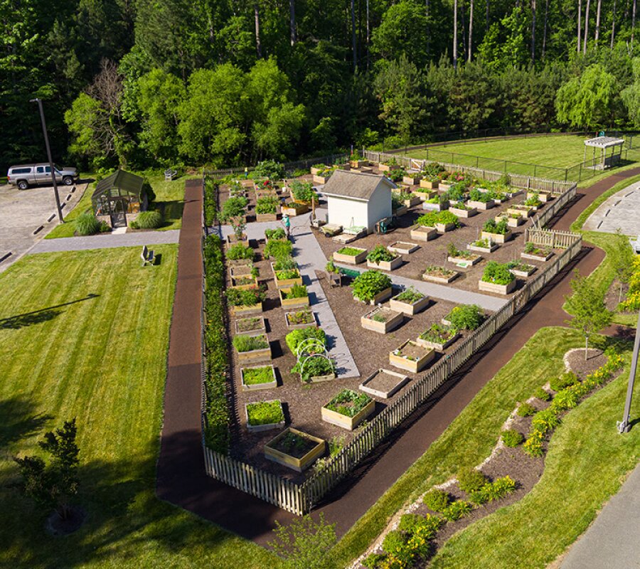 Lakewood raised garden beds