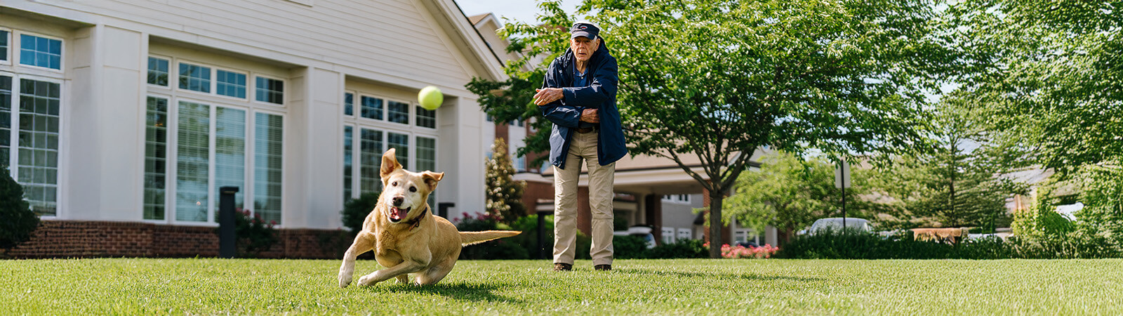 Senior man throwing a ball for his dog to catch