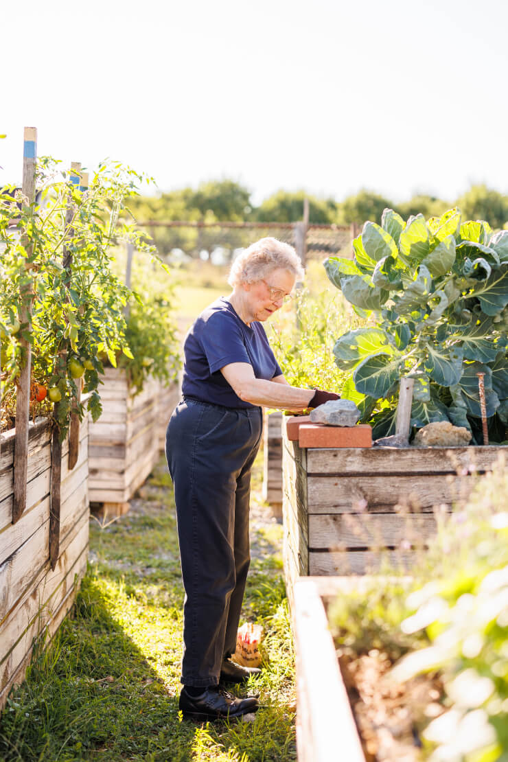 senior-woman-gardening (1) Senior woman gardening outdoors in large planters