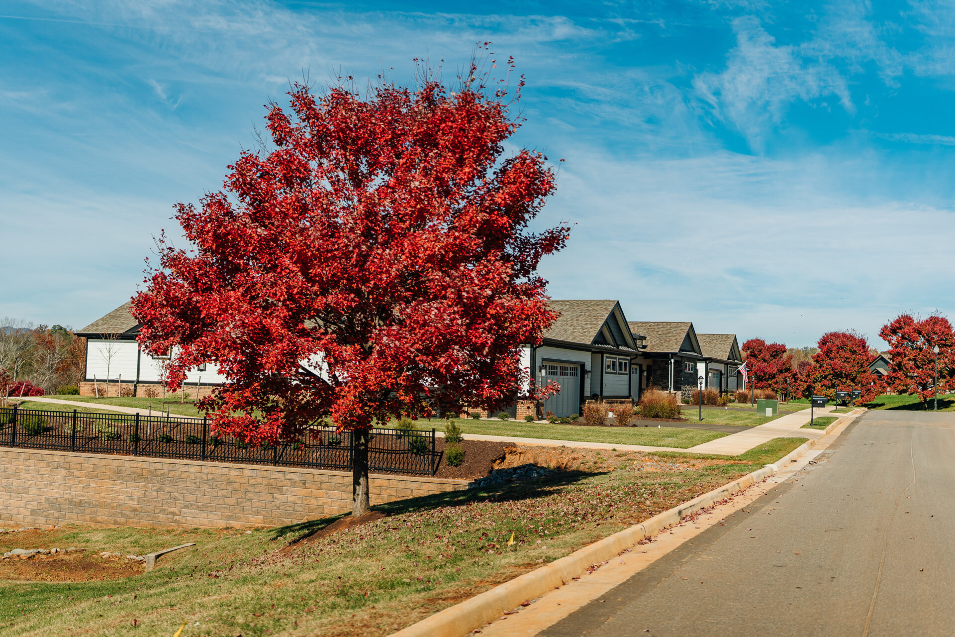 senior living neighborhood lined with trees