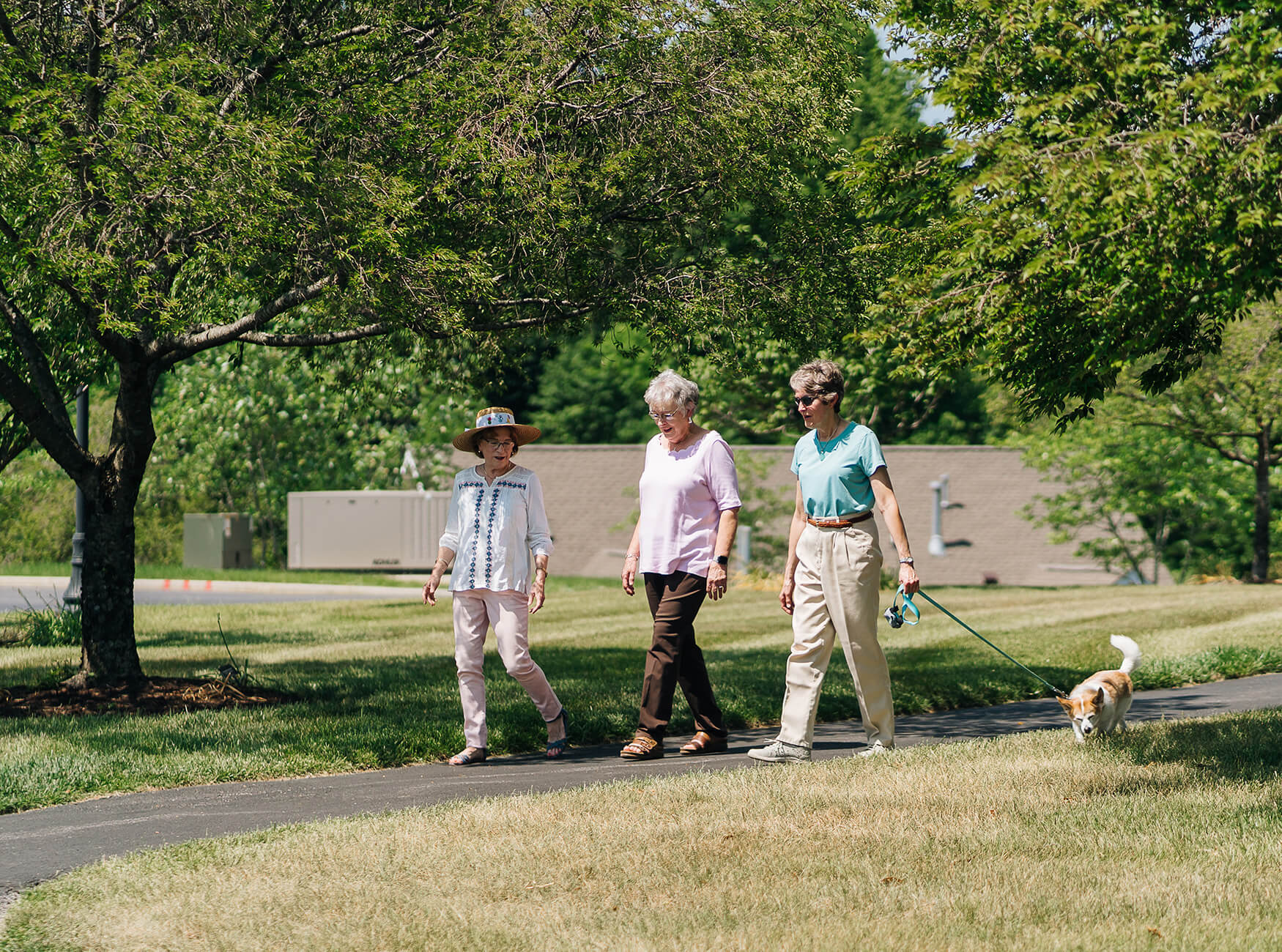 Three women walking with a dog on a pathway in a green, outdoor community space.