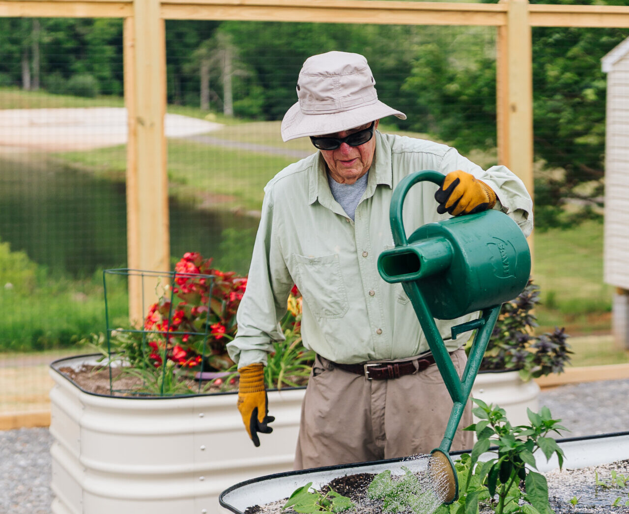 Watering flowerbeds
