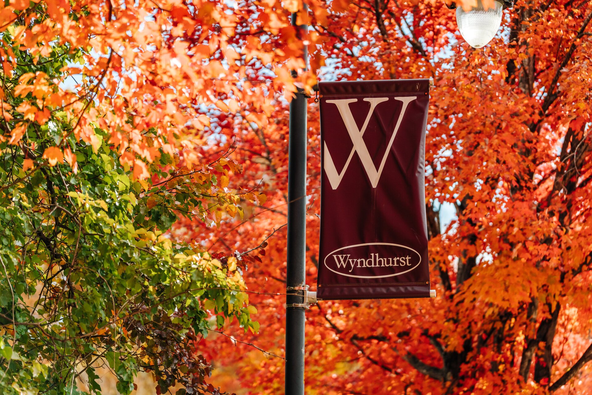 Wyndhearst sign
